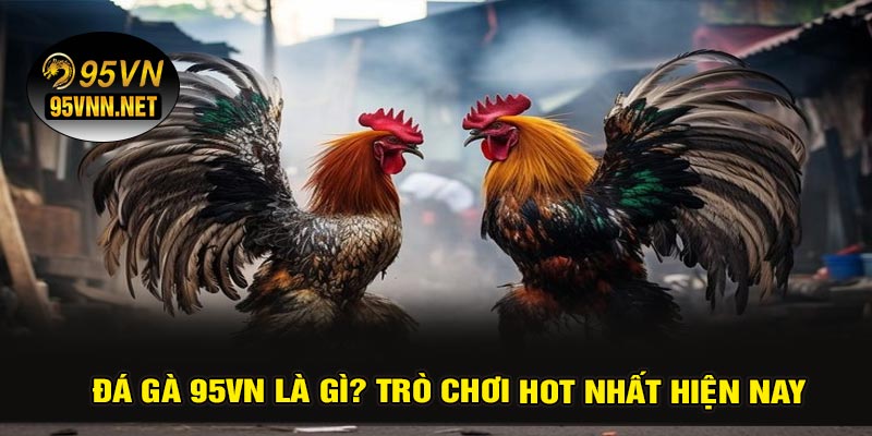 Đá Gà 95VN Là Gì? Trò Chơi Hot Nhất Hiện Nay