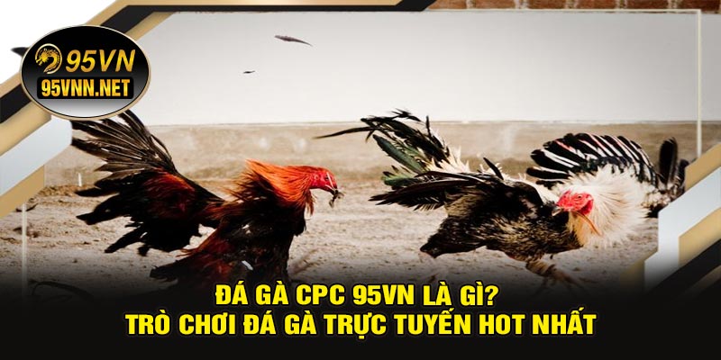 Đá Gà CPC 95VN Là Gì? Trò Chơi Đá Gà Trực Tuyến Hot Nhất