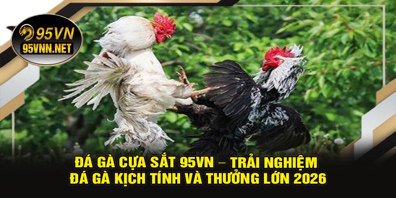Đá Gà Cựa Sắt 95VN – Trải Nghiệm Đá Gà Kịch Tính Và Thưởng Lớn 2026