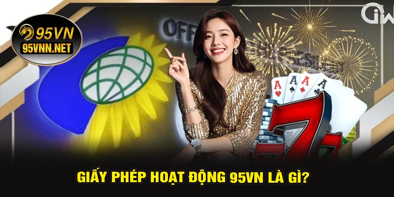 Giấy Phép Hoạt Động 95VN Là Gì?
