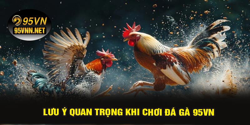 Lưu Ý Quan Trọng Khi Chơi Đá Gà 95VN