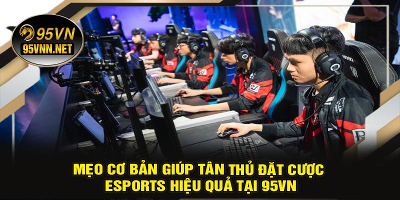 Mẹo Cơ Bản Giúp Tân Thủ Đặt Cược ESports Hiệu Quả Tại 95VN