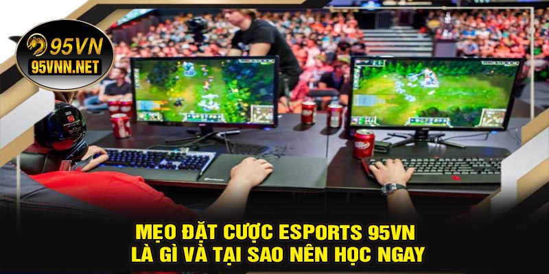 Mẹo Đặt Cược ESports 95VN Là Gì Và Tại Sao Nên Học Ngay